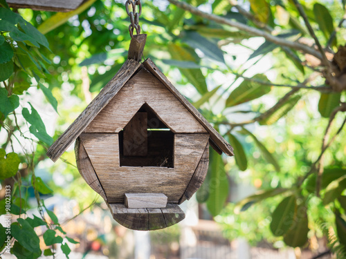 Bird house hanging among the trees