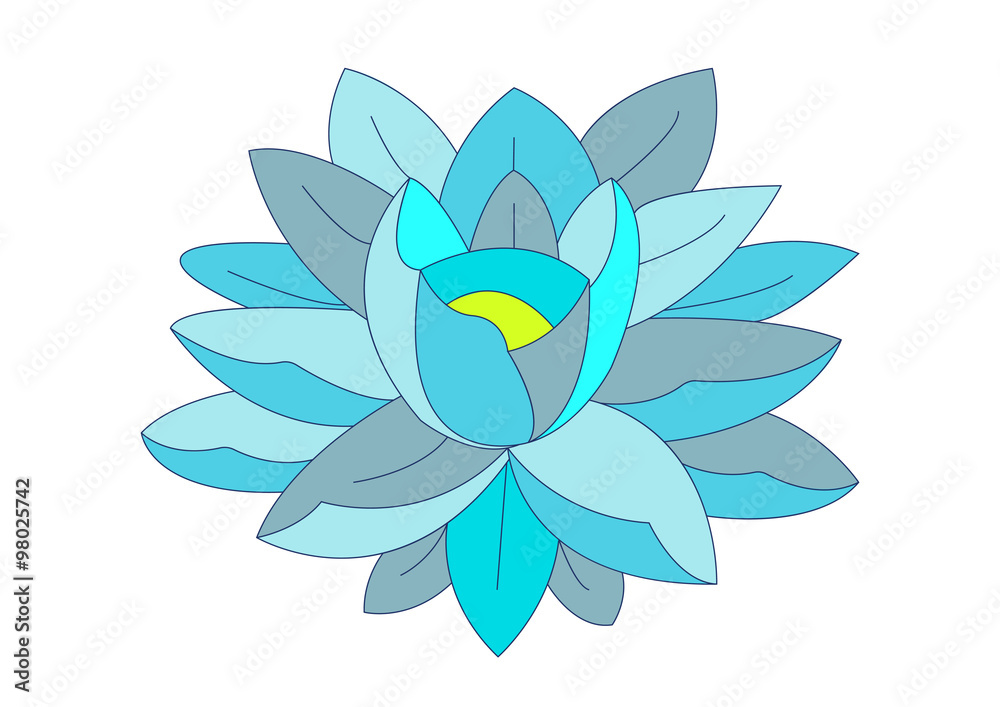 Fototapeta premium water lily