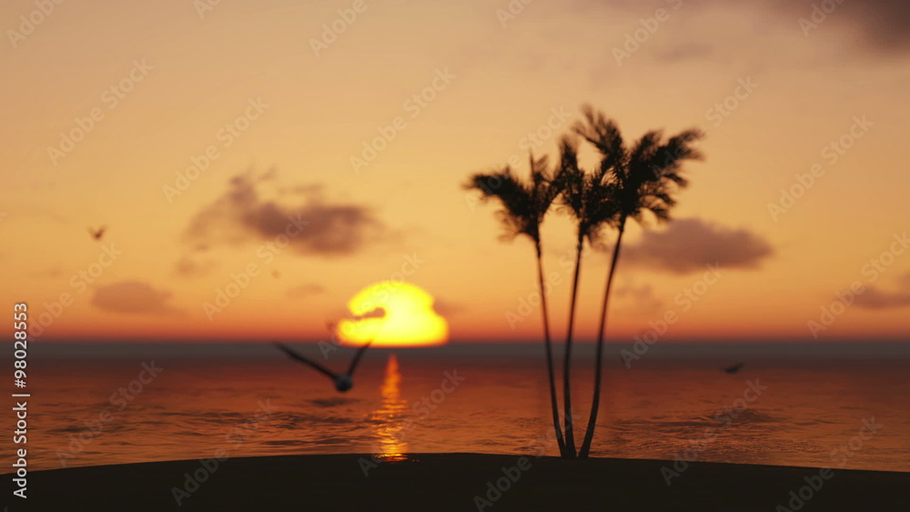 palm trees on the beach at sunrise, time lapse