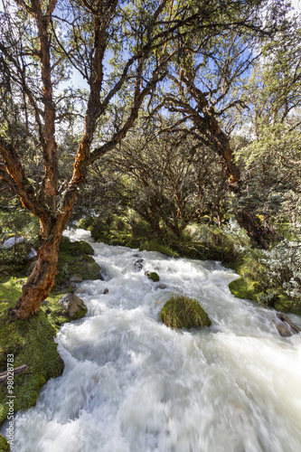 River and lush green forest near Huaraz in Cordillera Blanca  Pe