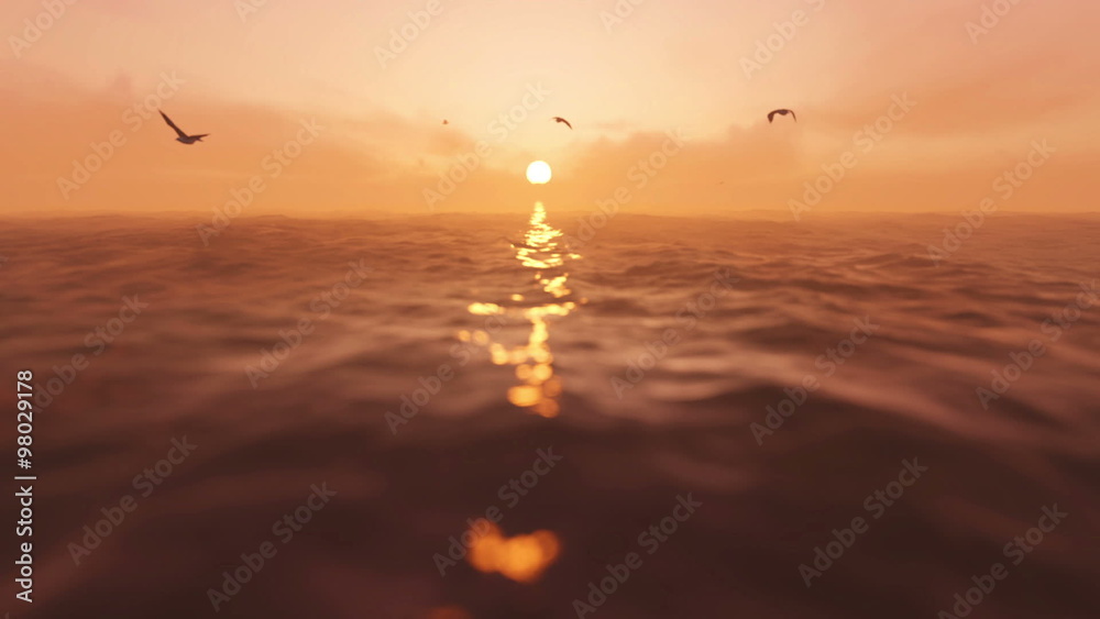 sea sunset with seagulls