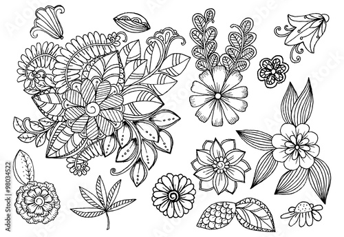 Set of doodle floral elements for design or coloring