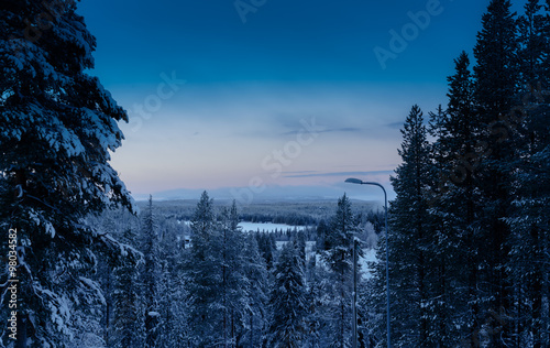 Morning sunrise at Finnish forest #98034582