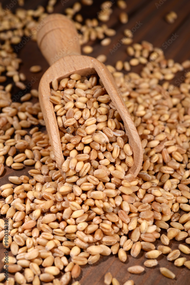Heap of wheat with wooden scoop Heap of wheat with wooden scoop