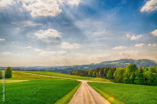Wallpaper Mural Hügelige Landschaft mit Sonnenstrahlen Torontodigital.ca