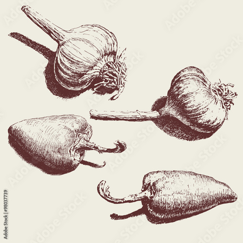 illustration with a brown garlic and pepper