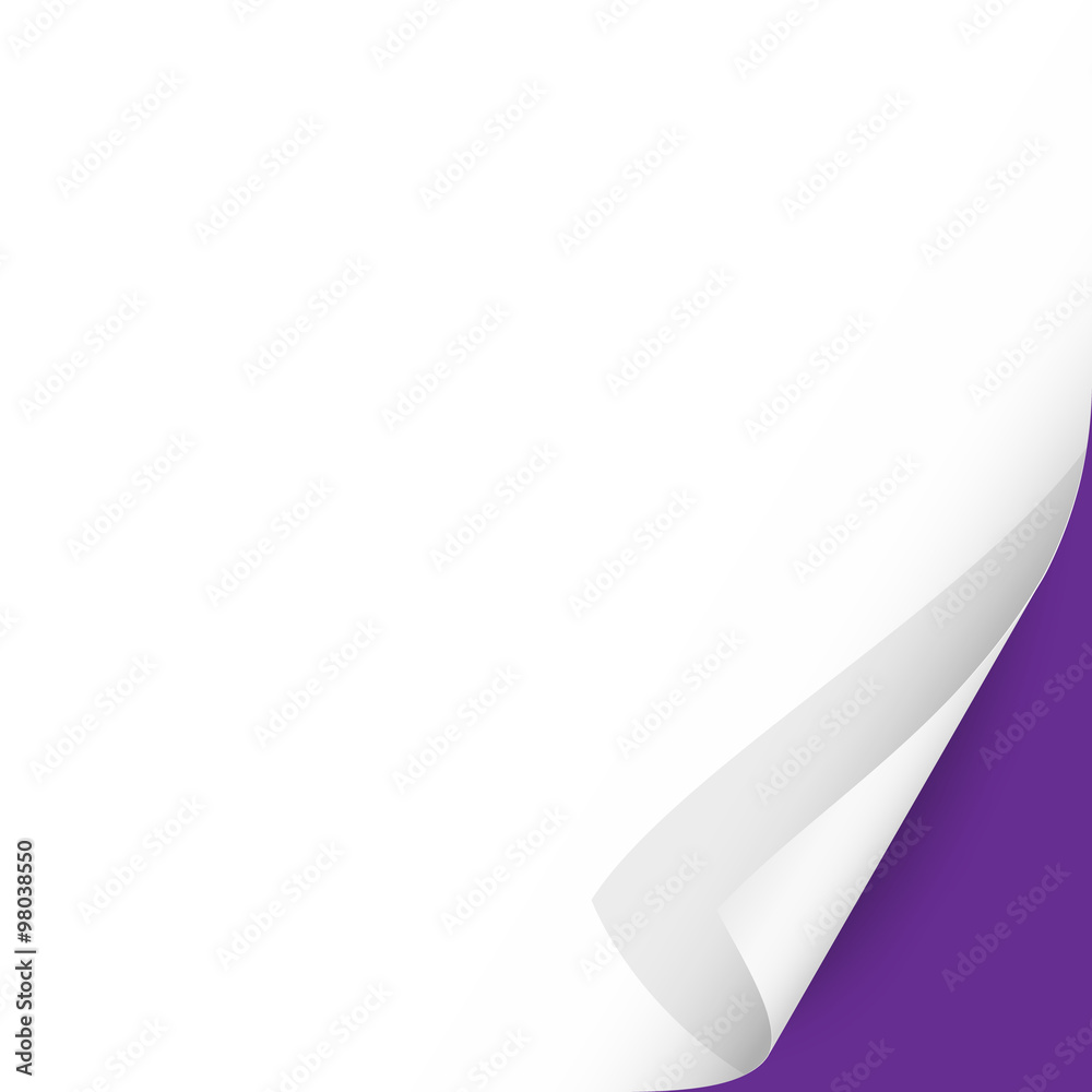 Curled Paper Corner with Purple Background Curled Paper Corner with Purple Background
