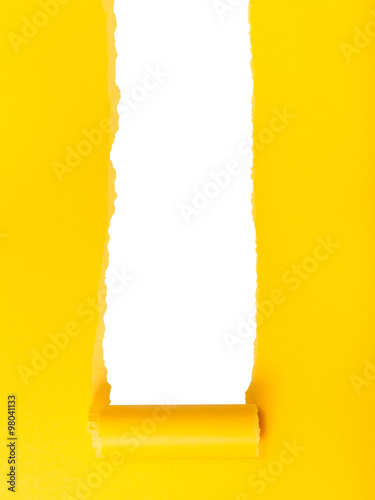 vertical yellow rolled-up torn paper on white photo