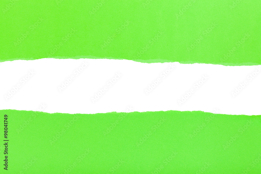 divided halves of the sheet of green ripped paper divided halves of the sheet of green ripped paper