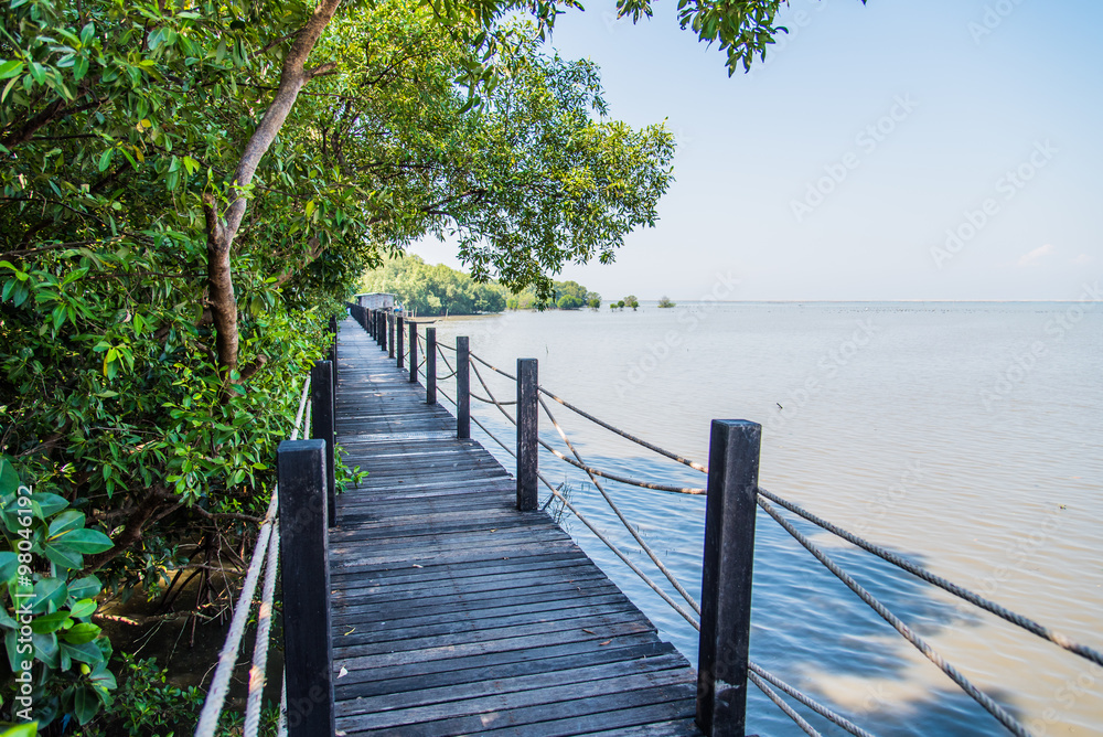 Naklejka premium Wooden walkway, Mangrove forest in Thailand.