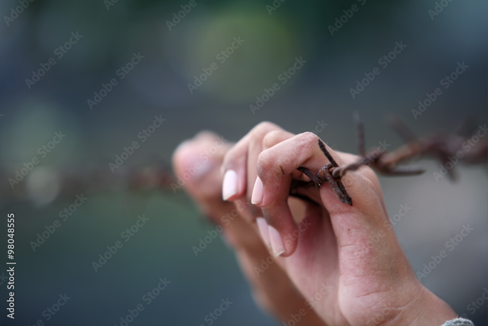 Obraz premium hand holding rusty barbwire.