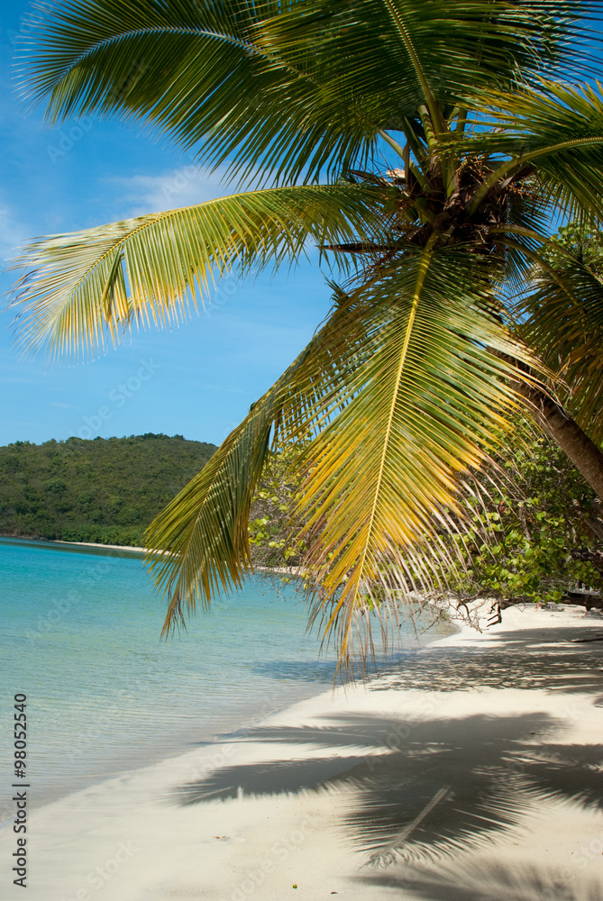 Cinnamon Bay beach on Saint John, United States Virgin Island.