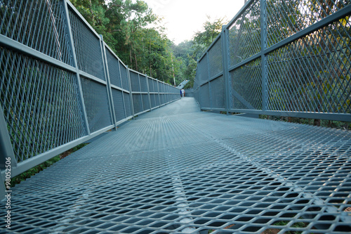 Fototapeta Naklejka Na Ścianę i Meble -  bridge of iron in the forest 
