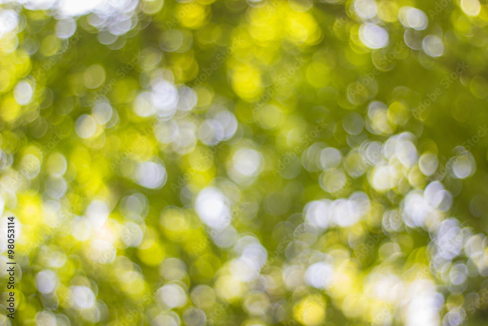 Obraz premium Background image the light from the tree.