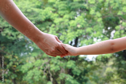 Adult And Child Holding Hand Together