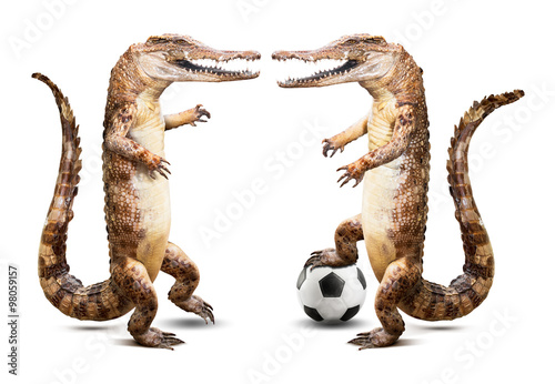 Crocodile soccer player