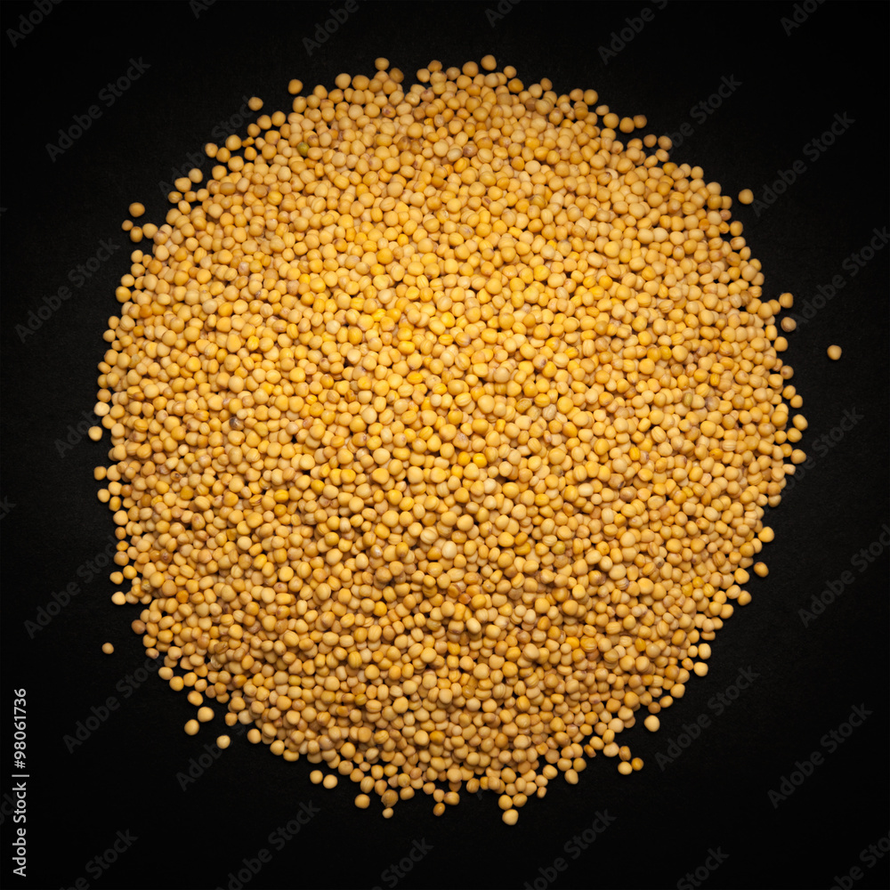 Top view of Organic yellow mustard (Brassica alba) isolated on dark background. Top view of Organic yellow mustard (Brassica alba) isolated on dark background.