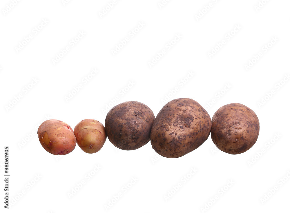 potato isolated on white background close up potato isolated on white background close up