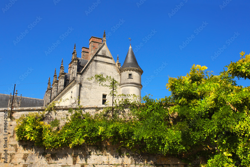 Chateau de Amboise medieval castle, Loire Valley, France