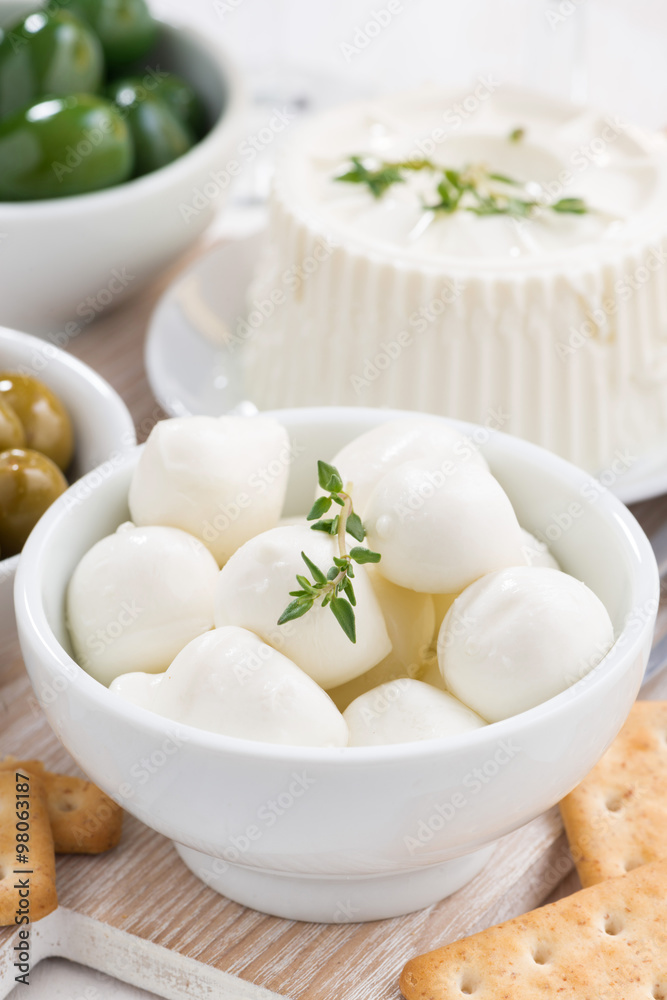 fresh mozzarella and crackers, close-up, vertical fresh mozzarella and crackers, close-up, vertical