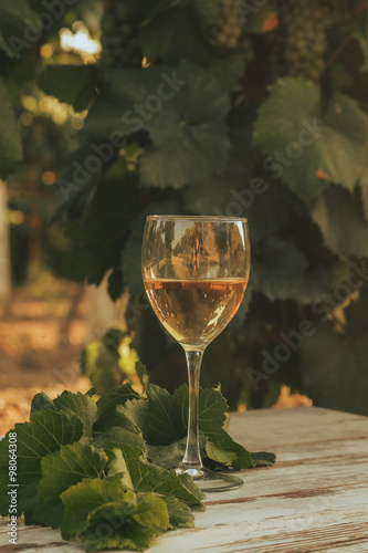 One glass of the white wine in autumn vineyard. on wooden table Harvest time, sundown on vineyard in autumn