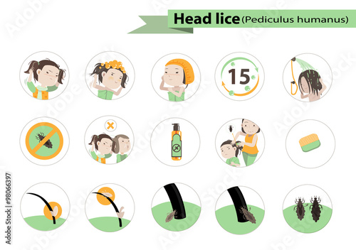 head lice circle Illustration vector