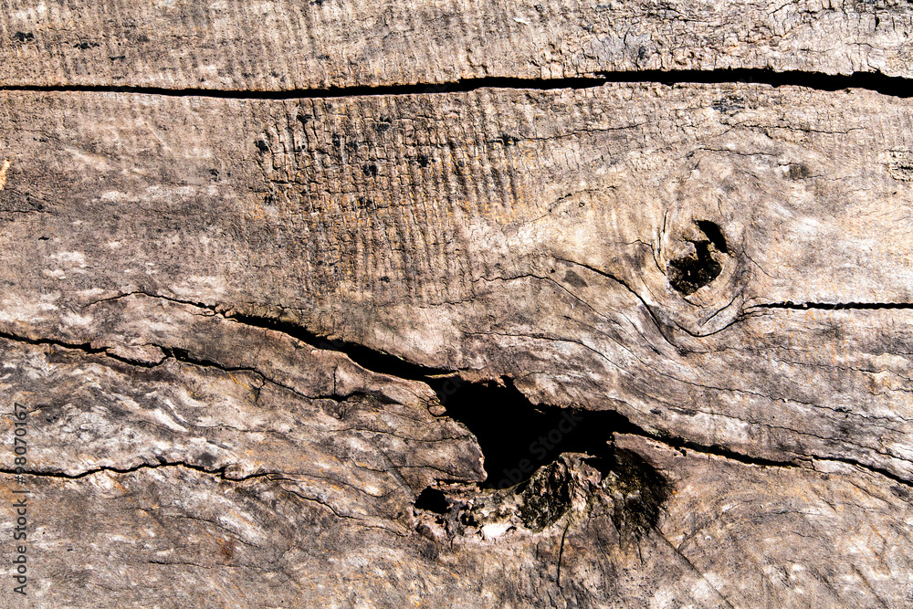 Surface of timber background,wood background. Surface of timber background,wood background.
