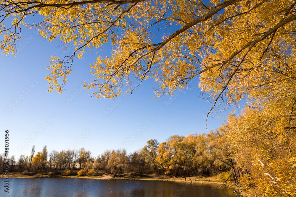 red autumn against a blue sky.