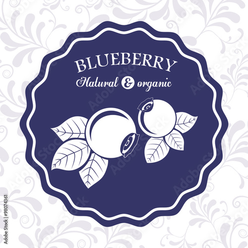 delicious blueberry design 