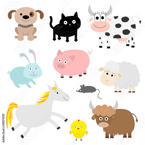 Farm animal set. Dog  cat  cow  rabbit  pig  ship  mouse  horse  chiken  bull. Baby background. Flat design style.