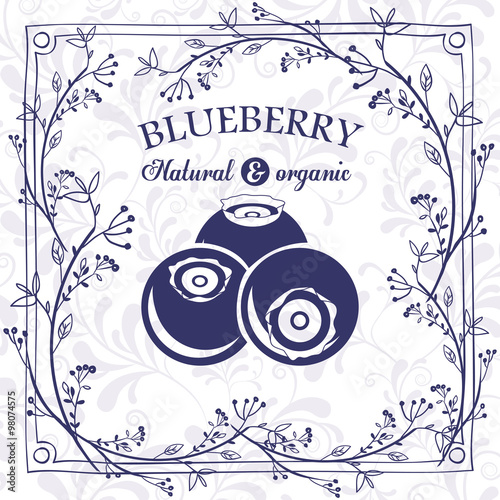 delicious blueberry design 