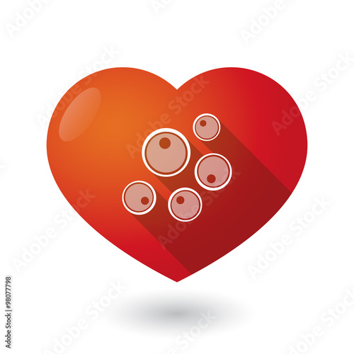 Isolated red heart with oocytes
