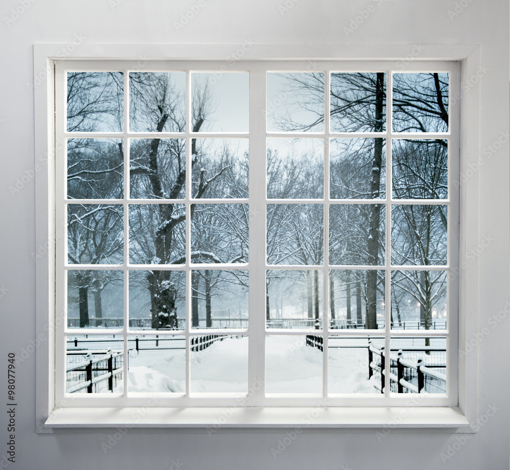 Fototapeta Widok przez zamknięte okno na ośnieżone drzewa w parku