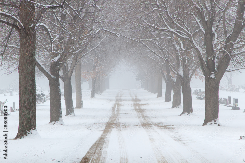 Fototapeta premium Snowy tree lined road through a cemetary