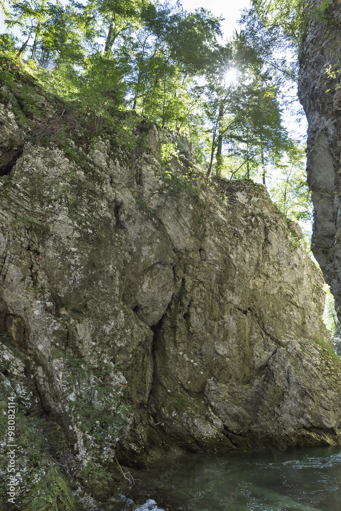 Vintgar gorge view from the bottom. Bled, Slovenia. Vintgar gorge view from the bottom. Bled, Slovenia.
