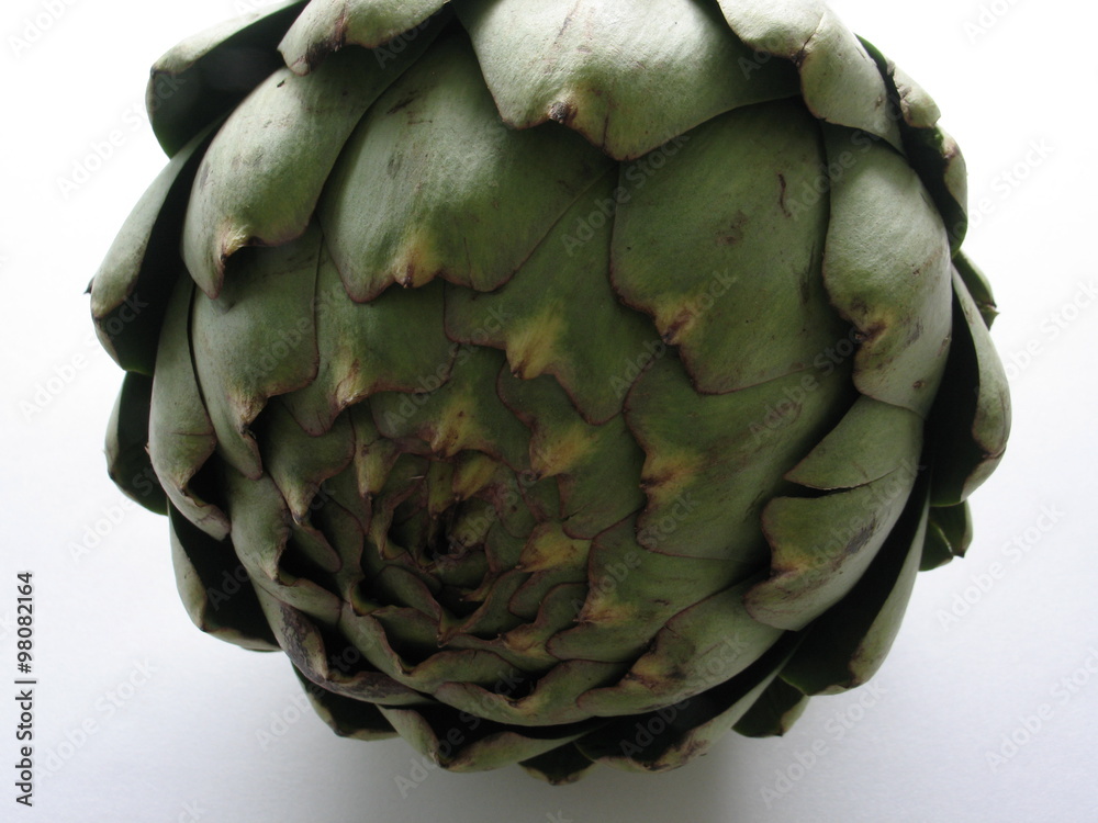 Fototapeta premium Artischocke