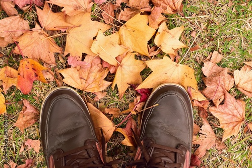 Walk through Autumn leaves