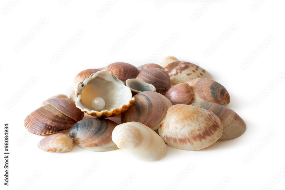 Pile of different colored shells and pearl