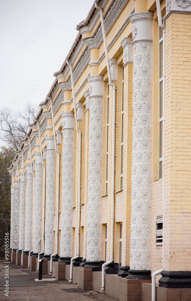 architectural columns on the facade of building