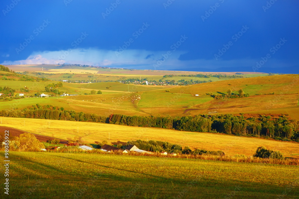 Beautiful landscape, green and yellow meadow. Slovakia, Central Europe.