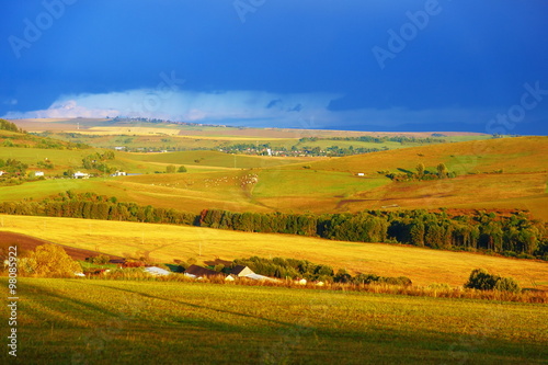 Beautiful landscape, green and yellow meadow. Slovakia, Central Europe.