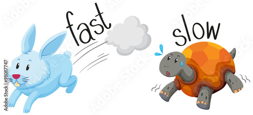 Rabbit runs fast and turtle runs slow