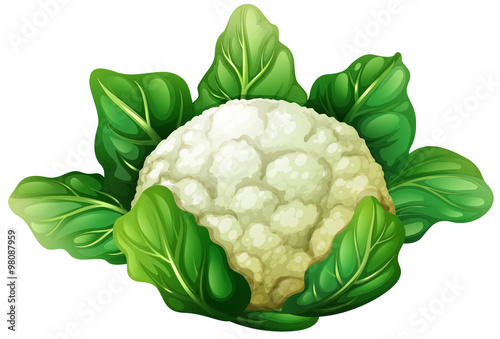 Cauliflower with green leaves