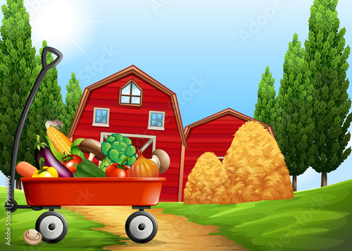 Fresh products on the farm