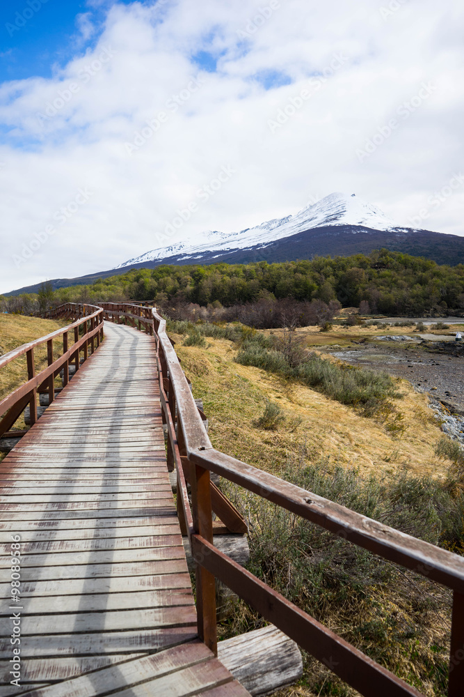 tierra de fuego national park in argentina.