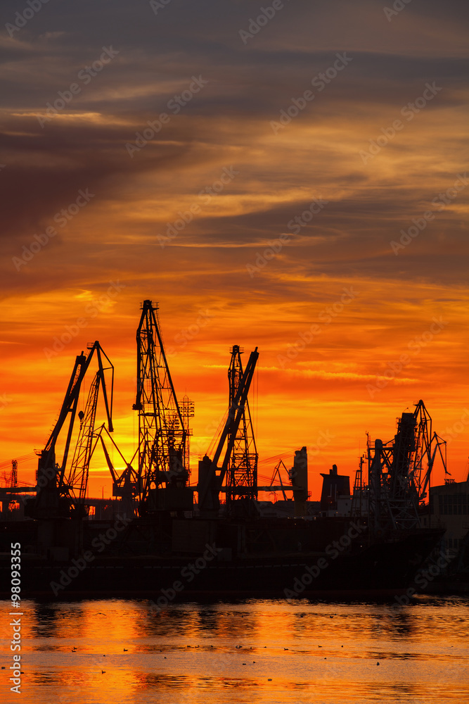 Silhouettes of cranes and cargo ships in port