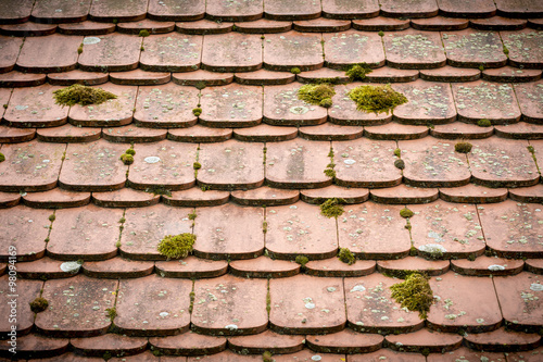 close up of an old tieled roof overgrown with moss photo