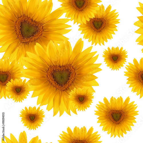 seamless pattern flower sunflower