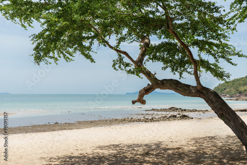 Fototapeta Naklejka Na Ścianę i Meble -  Green tree on the beach in Thailand
