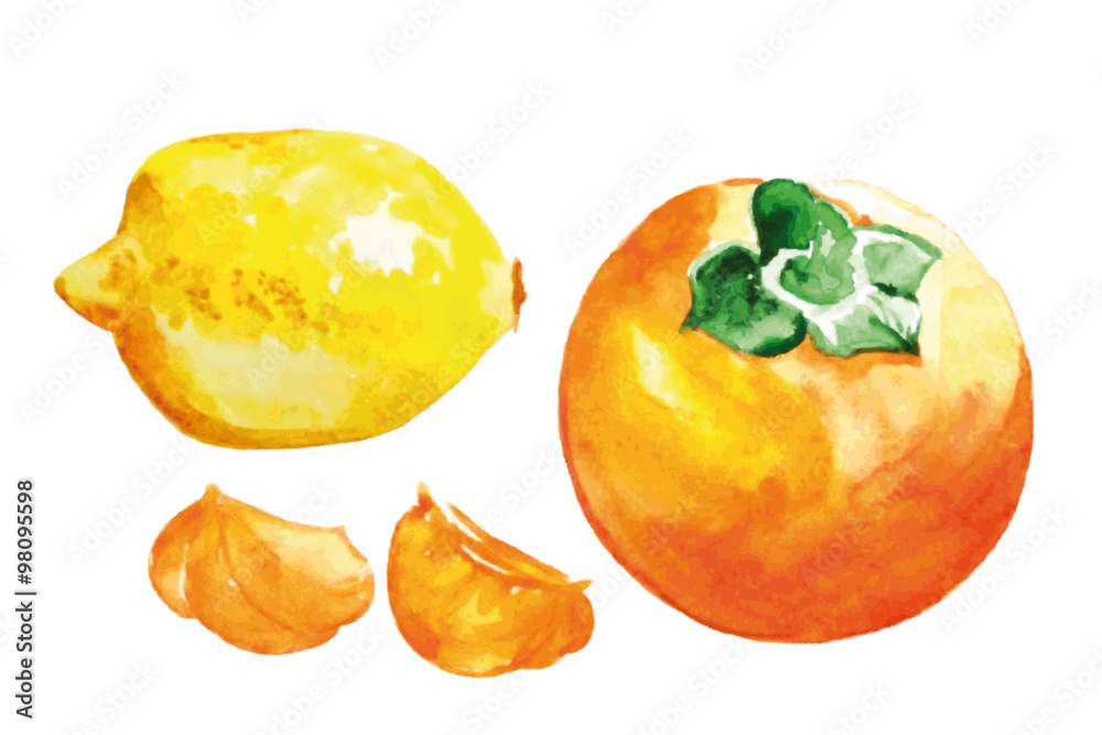 Watercolor fruit set.